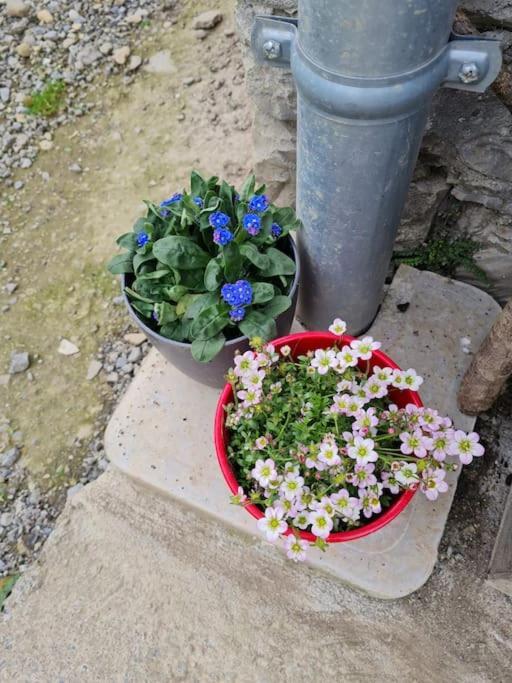Appartement De La Laiterie Avec Petit Jardin. Eysus ภายนอก รูปภาพ